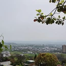 汉中旅游 缩略图 5