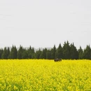 西安旅游 缩略图 6