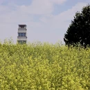 合肥旅游 缩略图 4