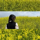 合肥旅游 缩略图 1