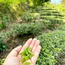 汉中旅游 缩略图 3