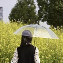 合肥旅游 缩略图 11