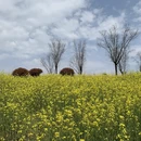 合肥旅游 缩略图 9