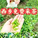 汉中旅游 缩略图 1