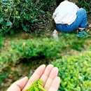 汉中旅游 缩略图 9
