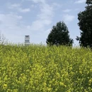 合肥旅游 缩略图 10