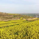 咸阳旅游 缩略图 2