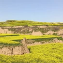 咸阳旅游 缩略图 5