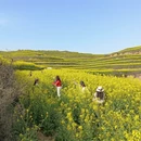 咸阳旅游 缩略图 4