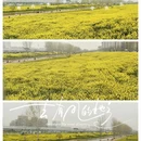 西安旅游 缩略图 1