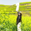 咸阳旅游 缩略图 1