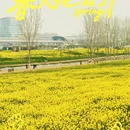 西安旅游 缩略图 3