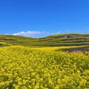 咸阳旅游 缩略图 13