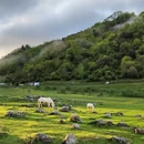 汉中旅游 缩略图 5