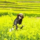 咸阳旅游 缩略图 11