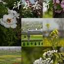 汉中旅游 缩略图 1