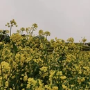 西安旅游 缩略图 3