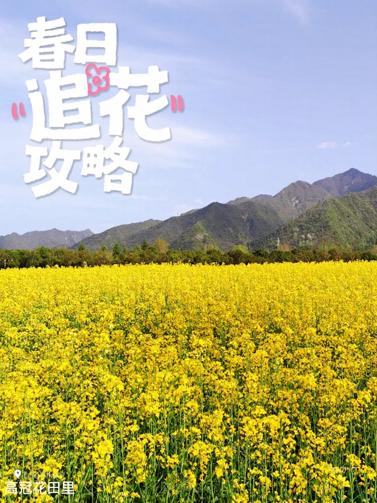 西安旅游