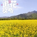 西安旅游 缩略图 1