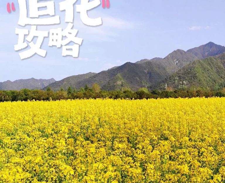 西安旅游 1