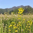 西安旅游 缩略图 3