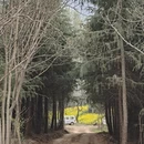 西安旅游 缩略图 6