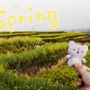 西安旅游 缩略图 6