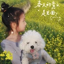 西安旅游 缩略图 5