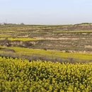 西安旅游 缩略图 3