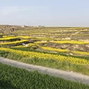 西安旅游 缩略图 2