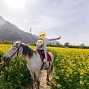 西安旅游 缩略图 4