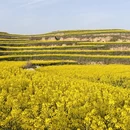 西安旅游 缩略图 5