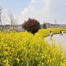 西安旅游 缩略图 8