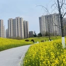 西安旅游 缩略图 7