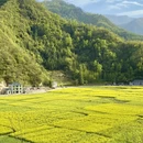 西安旅游 缩略图 3