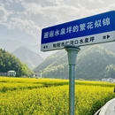 西安旅游 缩略图 8