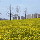 西安旅游 缩略图 9