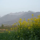 西安旅游 缩略图 1