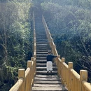 西安旅游 缩略图 12