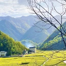 西安旅游 缩略图 1