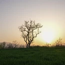 西安旅游 缩略图 5
