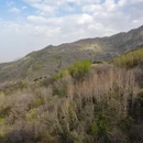 西安旅游 缩略图 8