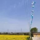 宝鸡旅游 缩略图 2