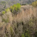 西安旅游 缩略图 9
