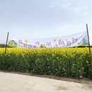 宝鸡旅游 缩略图 1