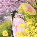 西安旅游 缩略图 6