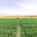 宝鸡旅游 缩略图 12