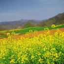 西安旅游 缩略图 2