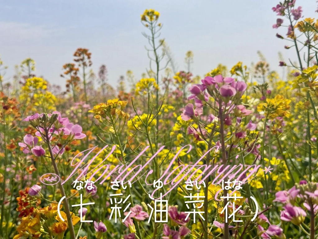 西安旅游