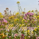 西安旅游 缩略图 1